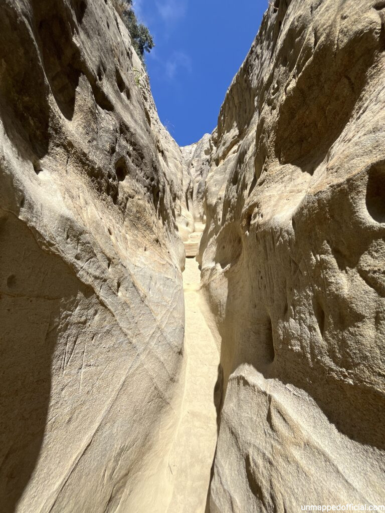 annie's canyon trail at solana beach san diego