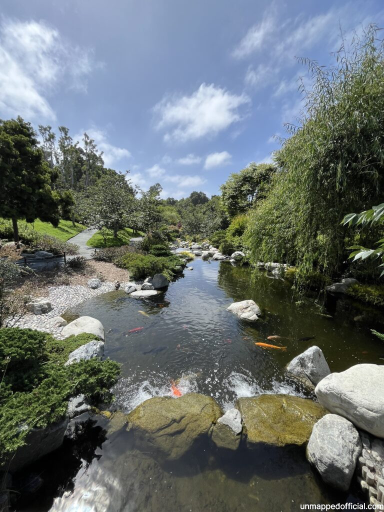 view of pond at japanese botanic garden in balboa park, san diego